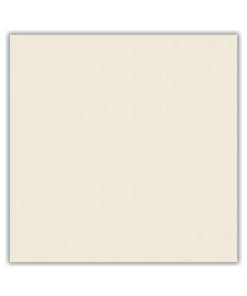 Sobre o produto O Semigres Renato 70200 da InOut Premium, com dimensões de 74x74 centímetros, é uma opção refinada e contemporânea para revestir ambientes com elegância e estilo. Este revestimento possui um acabamento acetinado e retificado, proporcionando uma superfície suave e uniforme, com uma textura que confere um toque de sofisticação ao ambiente. O formato retificado garante bordas precisas e um encaixe perfeito durante a instalação, resultando em um layout mais uniforme e requintado. Com dimensões generosas de 74x74 centímetros, o Semigres Renato 70200 é adequado para cobrir áreas amplas, contribuindo para uma sensação de amplitude no espaço. A tonalidade neutra do Renato 70200 oferece uma estética versátil e contemporânea, adaptando-se facilmente a diferentes estilos de decoração. Fabricado com alta qualidade, este revestimento combina beleza e durabilidade. O acabamento acetinado não apenas proporciona um visual refinado, mas também facilita a limpeza e manutenção do piso. Em resumo, o Semigres Renato 70200 acetinado e retificado de 74x74 centímetros é uma escolha esteticamente apurada, funcional e durável, oferecendo um revestimento elegante e moderno para diversos tipos de ambientes. Sobre nós Bem-vindo ao Atacadão dos Pisos, o destino final para todas as suas necessidades de materiais de construção! Com nossa ampla gama de produtos, ajudamos você a construir a casa dos seus sonhos. Nossa loja tem tudo que você precisa, desde pisos até revestimentos e muito mais. Além disso, com mais de 300 modelos de pisos e revestimentos à sua escolha, você encontra exatamente o que procura para dar o acabamento perfeito à sua casa. Entendemos que o tempo é fundamental quando se trata de projetos de construção. Por isso, oferecemos entrega em até 48 horas dentro do estado do Rio de Janeiro. Dessa forma, você não precisa se preocupar com atrasos ou tempos de espera prolongados. Nós temos você coberto! No Atacadão dos Pisos, também proporcionamos opções de pagamento flexíveis para facilitar sua compra. Você pode pagar em até 10 vezes sem juros, permitindo que você se concentre na construção da sua casa sem se preocupar com o encargo financeiro. Queremos fazer parte da sua felicidade, ajudando na construção da casa dos sonhos. Reconhecemos que uma casa confortável e acolhedora é essencial para o bem-estar geral. Por isso, queremos ajudá-lo a alcançar essa felicidade, fornecendo-lhe os melhores materiais de construção. Convidamo-lo a visitar a nossa loja física, onde o nosso pessoal simpático e experiente terá todo o prazer em ajudá-lo na sua compra. Estamos localizados em Av. Presidente Lincoln, 411 ou 410 | Jardim Meriti - São João de Meriti, RJ, e mal podemos esperar para recebê-lo! Venha e veja você mesmo porque o Atacadão dos Pisos é a melhor escolha para todas as suas necessidades, proporcionando uma casa recheada de felicidade para você e sua família. Veja mais como o Semigres Renato 70200 clicando aqui !! 