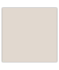 Sobre o produto O Porcelanato Crema Real da Rox Cerâmicas, referência 72742, apresenta acabamento acetinado e borda retificada. Com estampa bege lisa, suas dimensões de 72x72 centímetros proporcionam um revestimento elegante e versátil para ambientes diversos. Este porcelanato destaca-se pela qualidade e sofisticação, contribuindo para um visual contemporâneo em espaços internos. [divider] Sobre nós Bem-vindo ao Atacadão dos Pisos, o destino final para todas as suas necessidades de materiais de construção! Com nossa ampla gama de produtos, ajudamos você a construir a casa dos seus sonhos. Nossa loja tem tudo que você precisa, desde pisos até revestimentos e muito mais. Além disso, com mais de 300 modelos de pisos e revestimentos à sua escolha, você encontra exatamente o que procura para dar o acabamento perfeito à sua casa. Entendemos que o tempo é fundamental quando se trata de projetos de construção. Por isso, oferecemos entrega em até 48 horas dentro do estado do Rio de Janeiro. Dessa forma, você não precisa se preocupar com atrasos ou tempos de espera prolongados. Nós temos você coberto! No Atacadão dos Pisos, também proporcionamos opções de pagamento flexíveis para facilitar sua compra. Você pode pagar em até 10 vezes sem juros, permitindo que você se concentre na construção da sua casa sem se preocupar com o encargo financeiro. Queremos fazer parte da sua felicidade, ajudando na construção da casa dos sonhos. Reconhecemos que uma casa confortável e acolhedora é essencial para o bem-estar geral. Por isso, queremos ajudá-lo a alcançar essa felicidade, fornecendo-lhe os melhores materiais de construção. Convidamo-lo a visitar a nossa loja física, onde o nosso pessoal simpático e experiente terá todo o prazer em ajudá-lo na sua compra. Estamos localizados em Av. Presidente Lincoln, 411 ou 410 | Jardim Meriti - São João de Meriti, RJ, e mal podemos esperar para recebê-lo! Venha e veja você mesmo porque o Atacadão dos Pisos é a melhor escolha para todas as suas necessidades, proporcionando uma casa recheada de felicidade para você e sua família. Veja mais como o Porcelanato Crema Real clicando aqui!