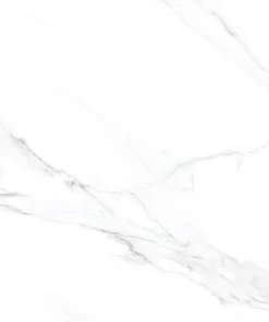 Porcelanato Carrara AC RET 72x72 | 72721
