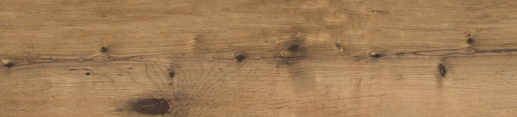 rx-25037-cadore-face-6-66bf7e7c09483-1024x233