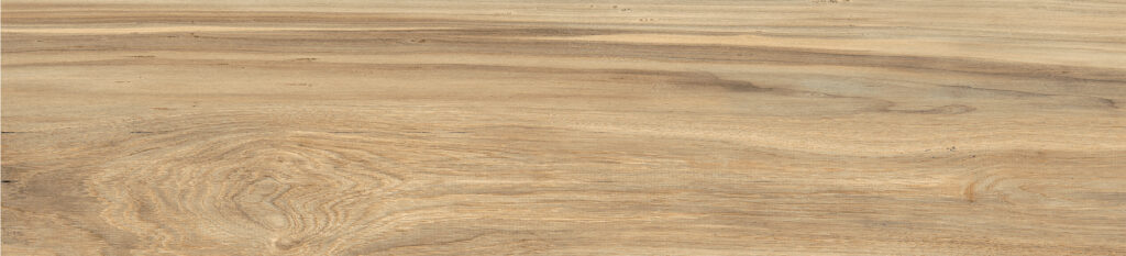 rx-25039-arau-face-23-66bf7e034c272-1024x233